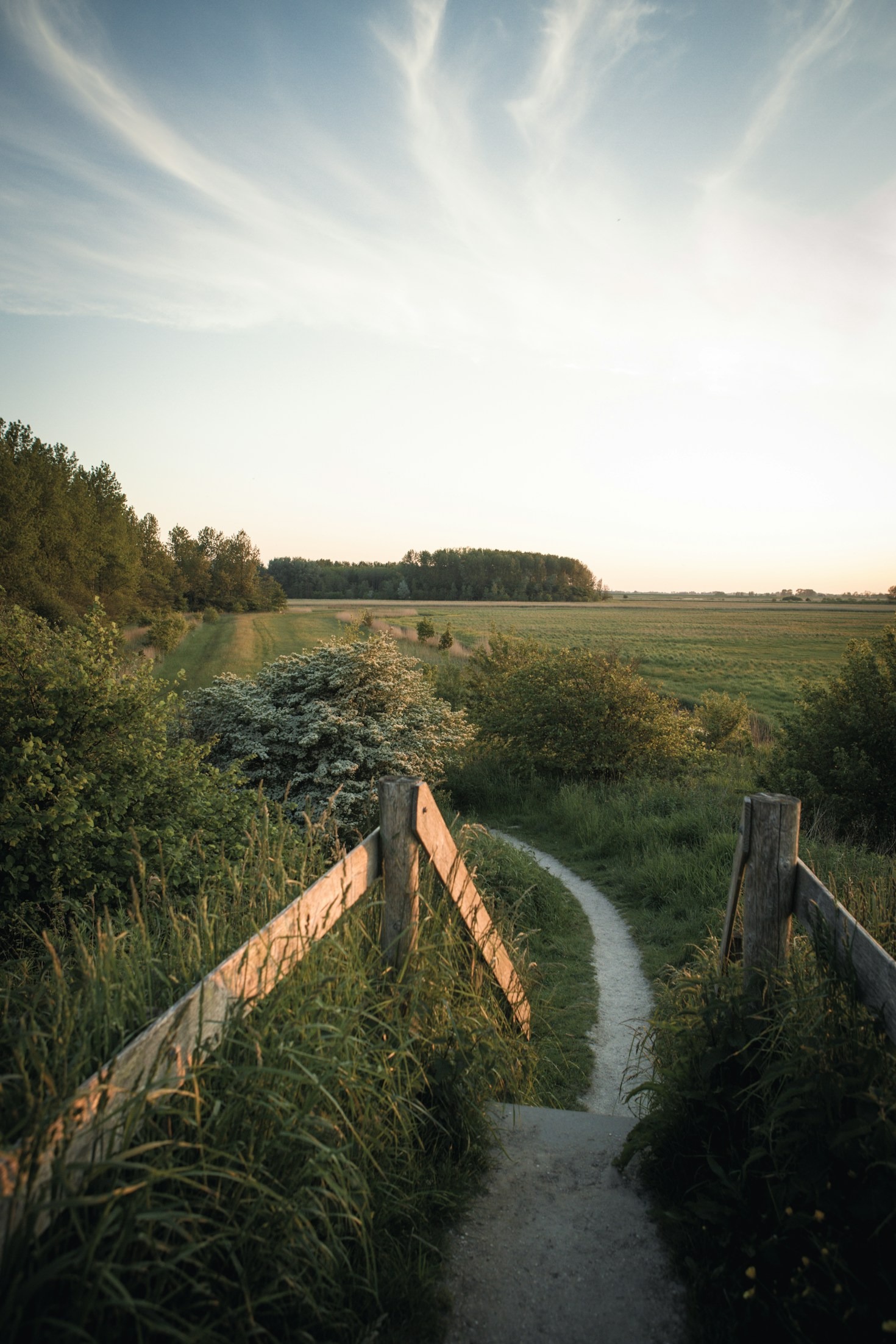 Fueling the Journey: Nutrition Tips for Resilient Daily Living